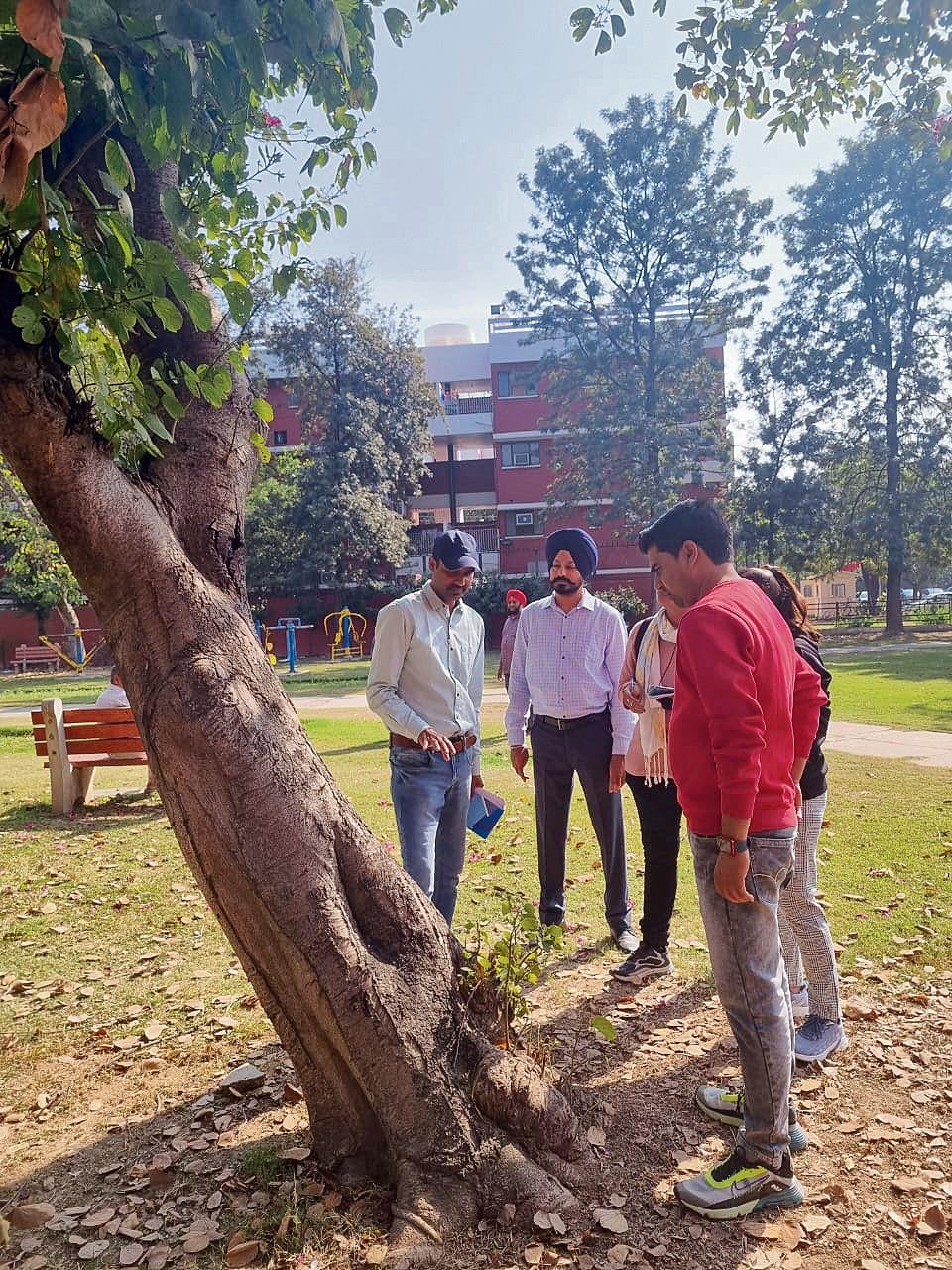 FRI experts kick off tree survey in Chandigarh