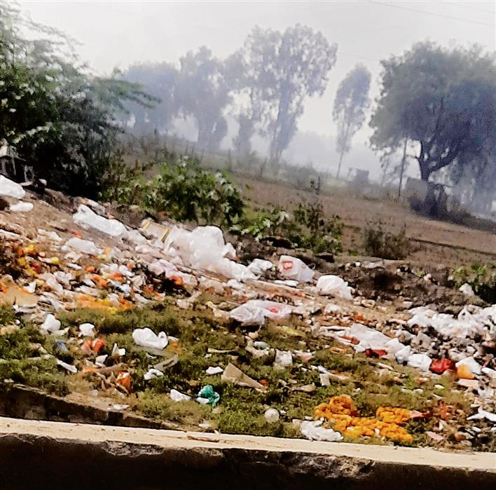 Waste dumped on bank of rivulet in Gurugram