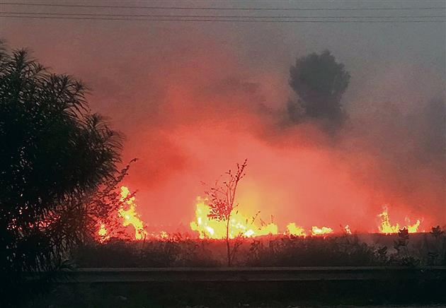 Respite after 34 days, farm fires drop to 37 in Punjab