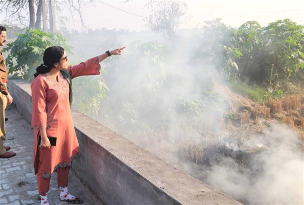 DC, SSP visit hotspots of stubble burning in Nabha