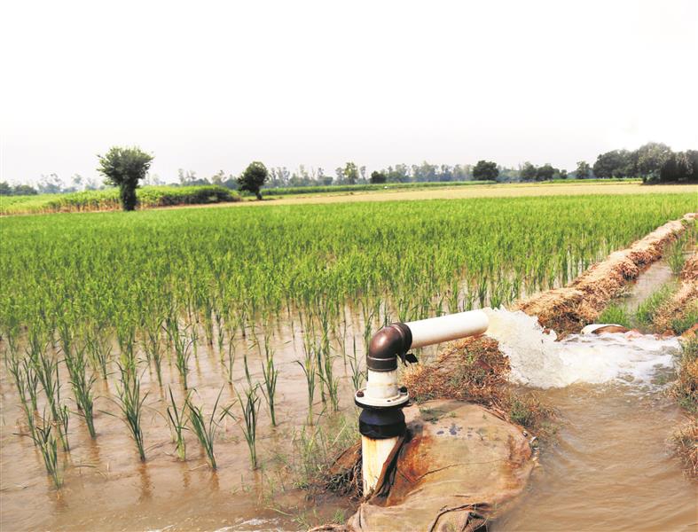 Punjab: Bill restricting digging of tubewell gets Cabinet nod