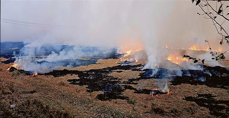 Shun stubble burning to protect natural resources: Jalandhar DC to farmers