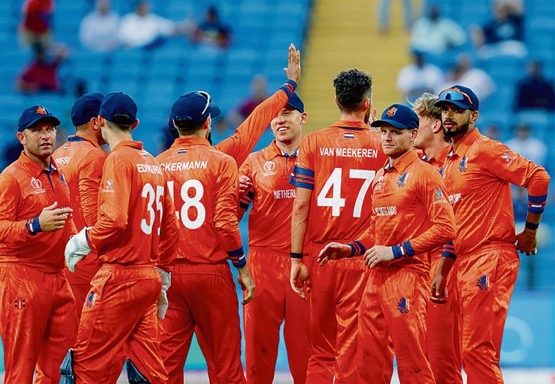 Dutch want to rock India in last dance