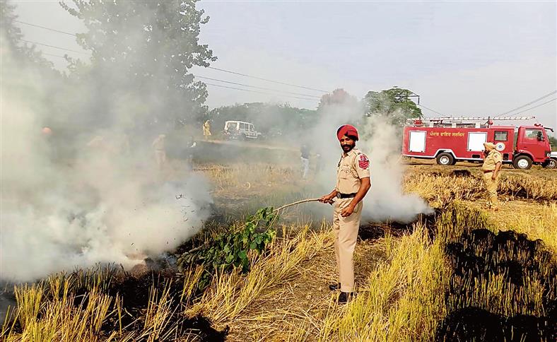 After Supreme Court rap, 245 FIRs filed against Punjab farmers, Rs 88L fine imposed on 3,836