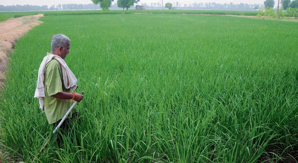 Roadmap for spurring agriculture towards sustainability