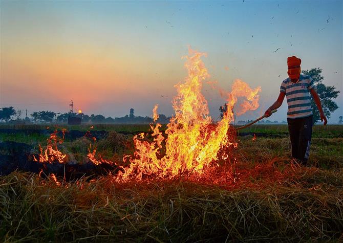 Put an end to stubble burning, it's your job: Supreme Court slams Punjab, Haryana & other states