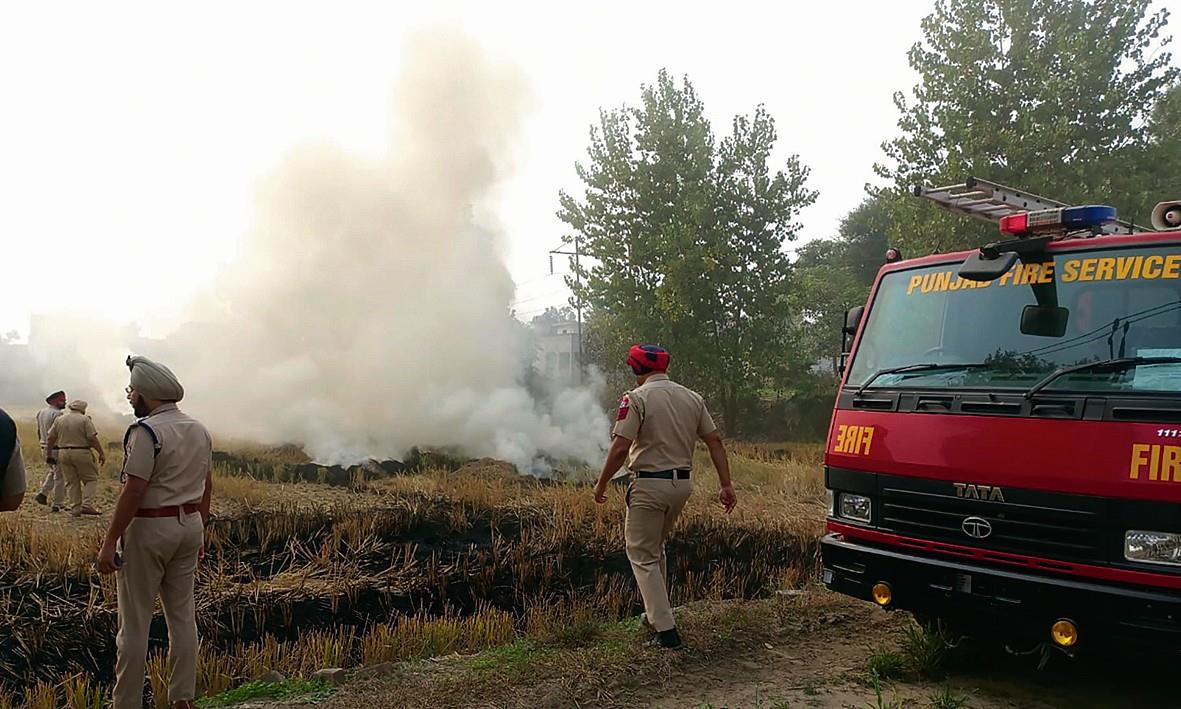 Sangrur officials: Difficult to identify those behind farm fires