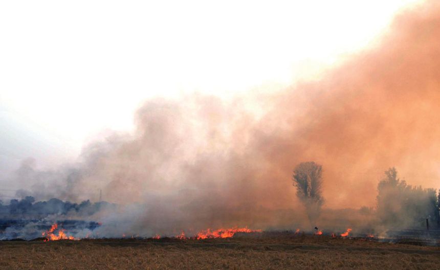 Stubble burning seasonal factor for pollution, dust prime cause: Experts