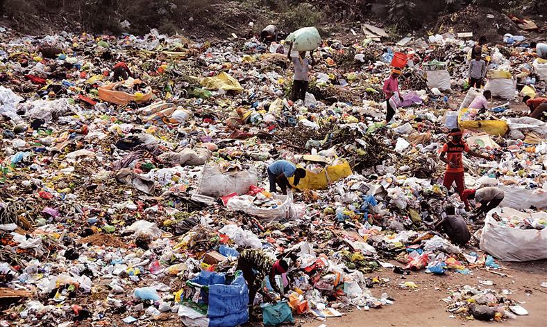 Ludhiana faces uphill task in achieving complete garbage segregation