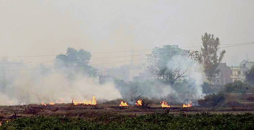 Punjab logs 2,544 farm fires despite flying squad