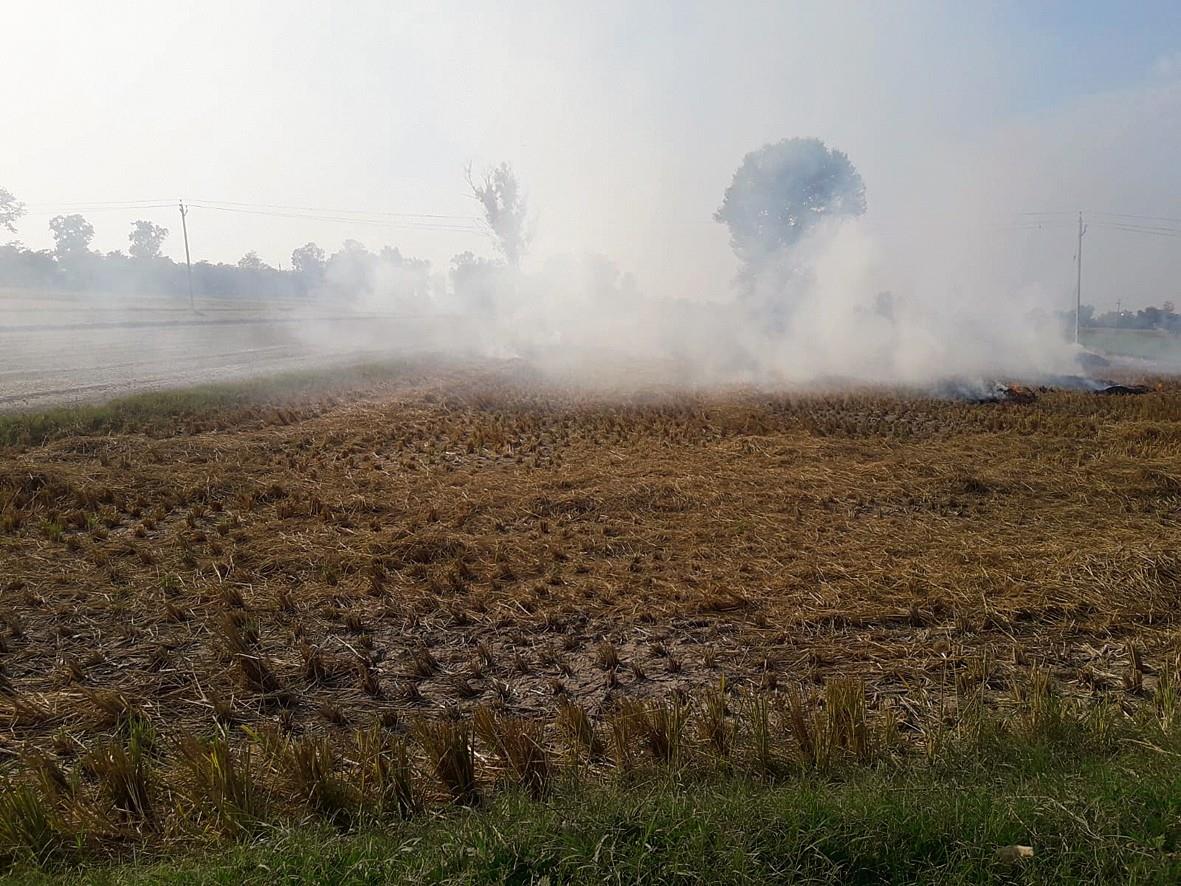 Amritsar district just three cases short of breaching last year’s farm fire tally