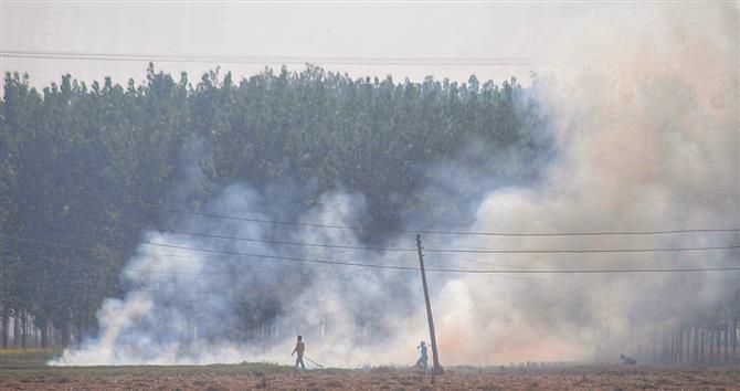 111 farmers fined for burning stubble