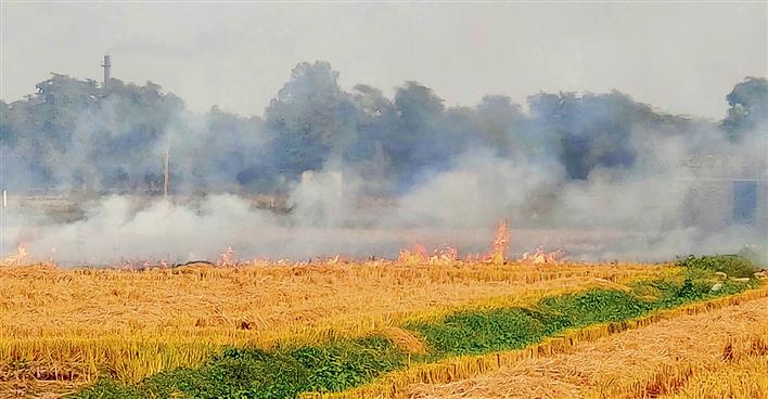 12 districts account for 83% of farm fires in Punjab