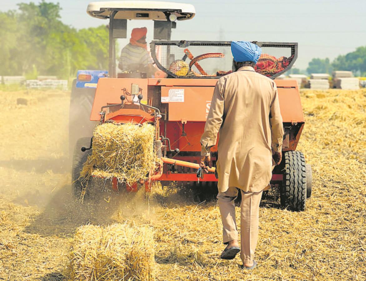 Gurdaspur: Adopt new technology to counter stubble burning, experts tell farmers