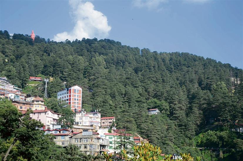 Shimla to have eight more green belts