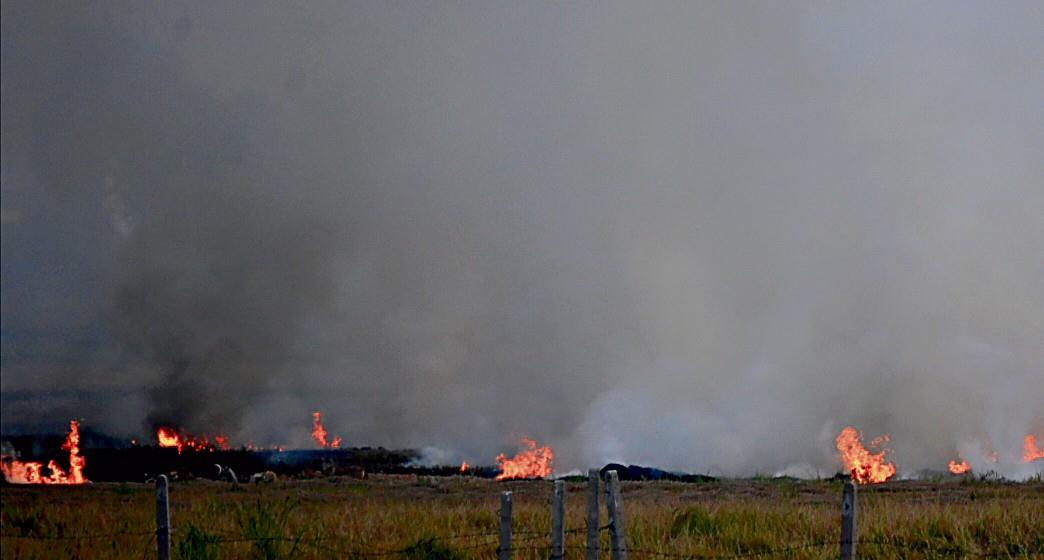 Six farm fire reported in Tarn Taran district; 2 nabbed