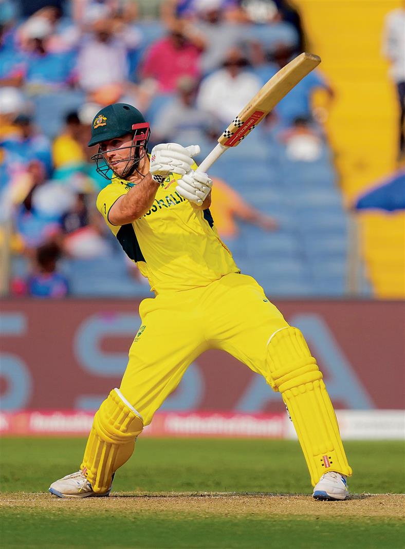 Marsh-alling Aussies to win