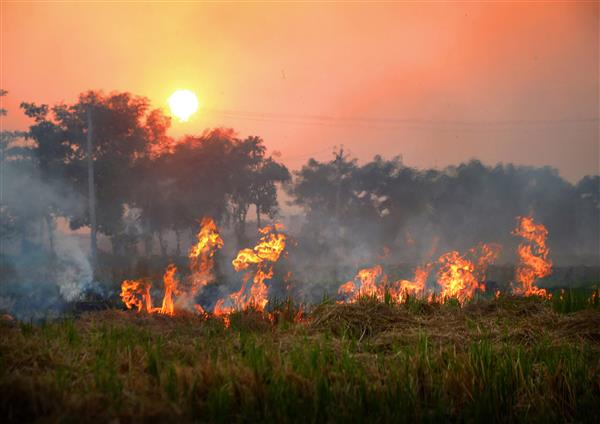 To check air pollution, Bihar to ‘name and shame’ farmers who burn crop residue