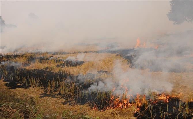 Police crackdown on farmers, 18 held for burning stubble in Kaithal