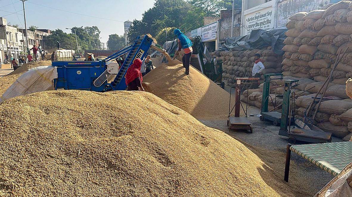 Paddy procurement picks up, 11.36 LMT grains arrive, 99% purchased