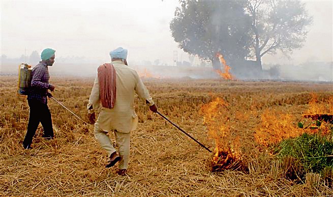 Farm fires: 3 farmers booked in Ferozepur