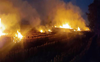Punjab logs 512 crop residue fires