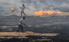 Punjab reports 513 stubble burning incidents, Fazilka tops with 105