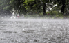 Parts of Punjab and Haryana receive light rain
