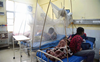 Two more dengue deaths, toll rises to 15 in Ludhiana