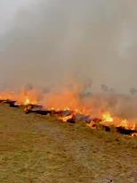 Single-day farm fires cross 2,000, Punjab Government orders FIR against farmers