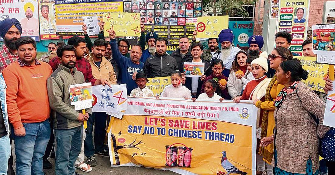 NGO holds awareness rally against use of Chinese string by kite flyers