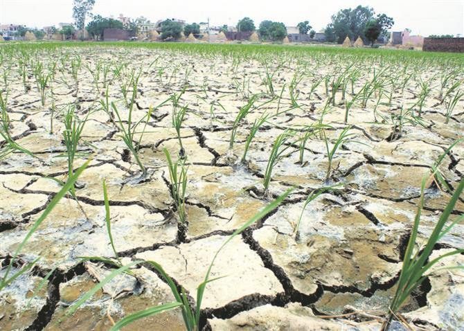 3.7 lakh claims for crop loss, Haryana Deputy CM Dushyant Chautala tells House