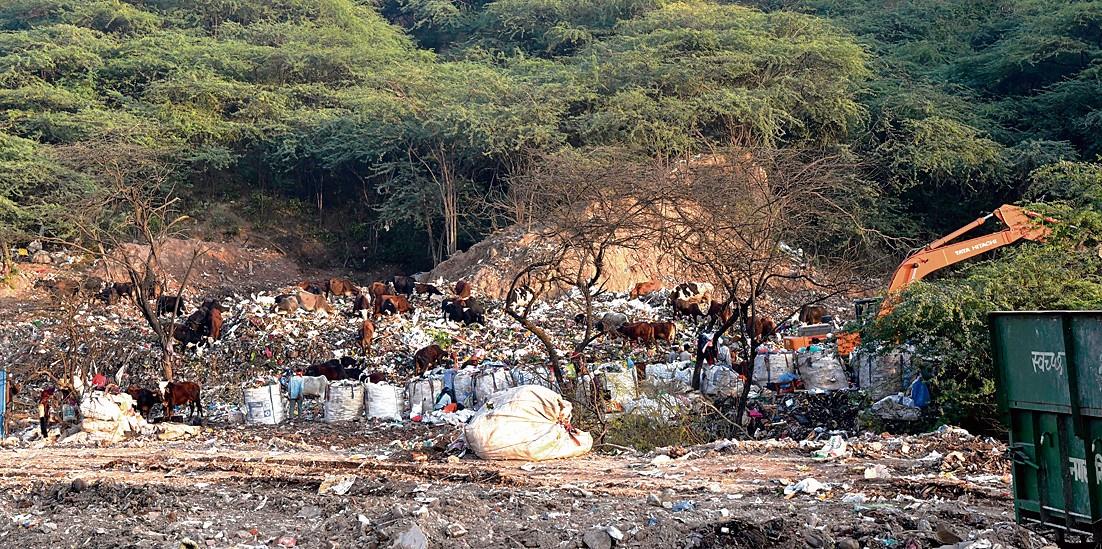 Panchkula MC begins clearing legacy waste at Jhuriwala site