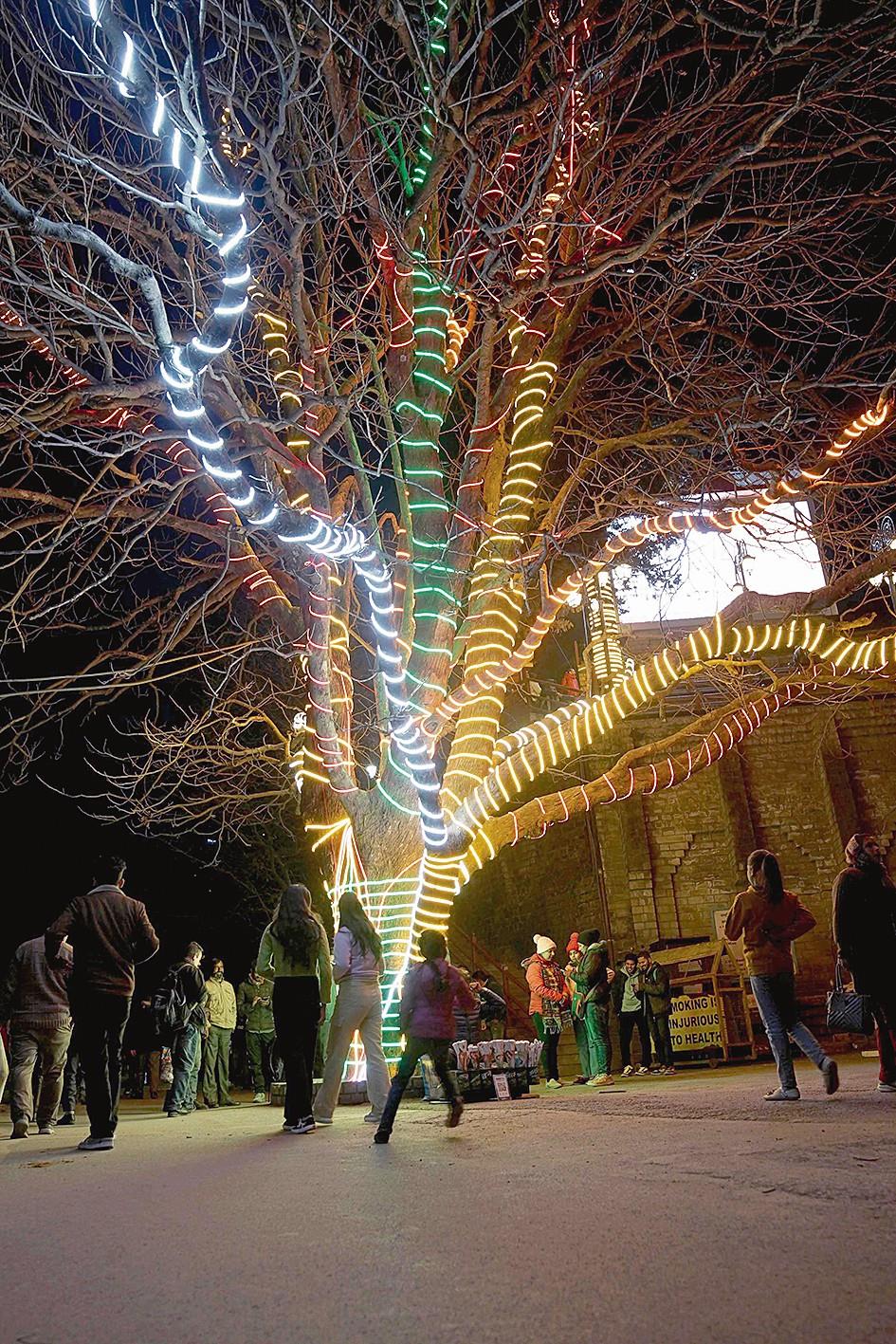 Shimla bedecked to ring in Christmas, New Year : The Tribune India