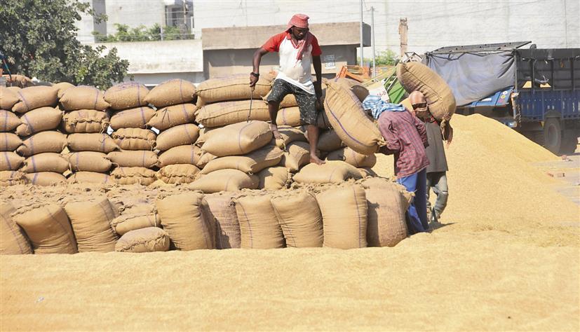 State exceeds paddy procurement target