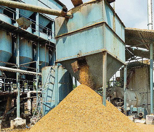 Rice millers in 3 Haryana districts default on Rs 344-cr govt stock