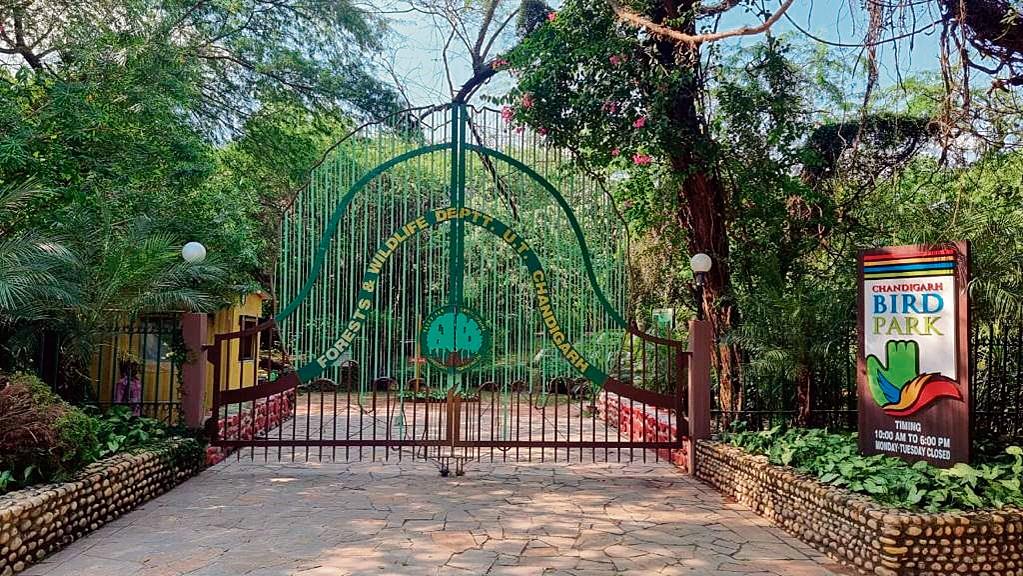 Audit flags ‘irregularities’ in utilisation of Chandigarh Bird Park funds