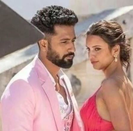 Vicky Kaushal romances 'Animal' star Tripti Dimri; watch viral pictures from shoot in Croatia