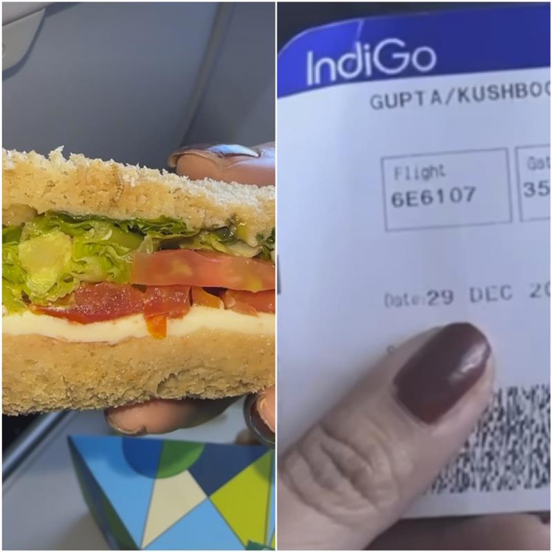 Delhi dietician finds live worm in sandwich on Mumbai flight; gets 'shocking' response from attendant
