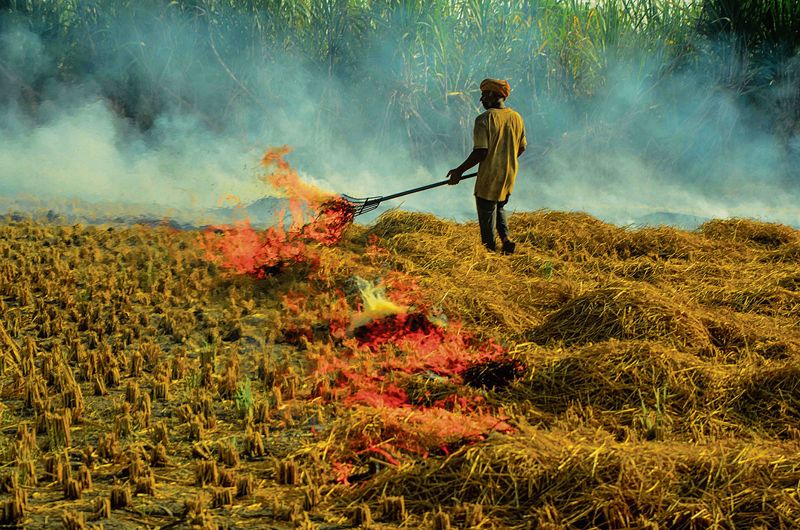 Check farm fires, ensure next winter is better, Supreme Court tells states