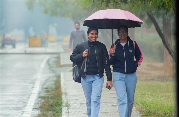 Ludhiana feel winter chill with 12.6 mm rainfall