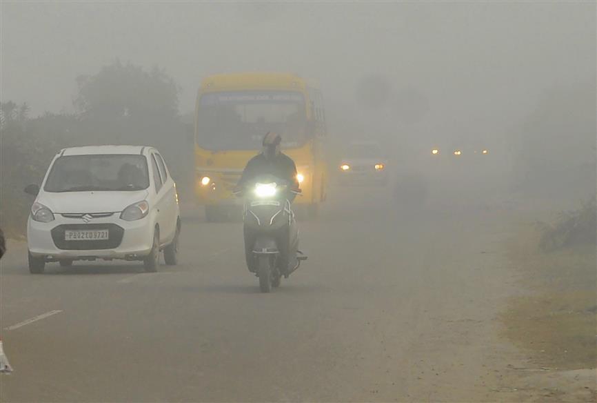 Dense fog engulfs parts of Amritsar district, affects visibility