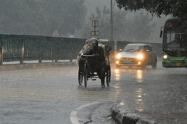 Chandigarh records wettest, coldest November day ever