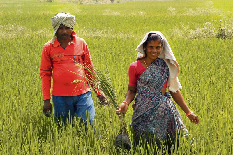 Hand-holding marginal farmers