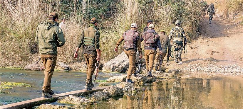 Search operations on in Rajouri, Poonch to detect border tunnels