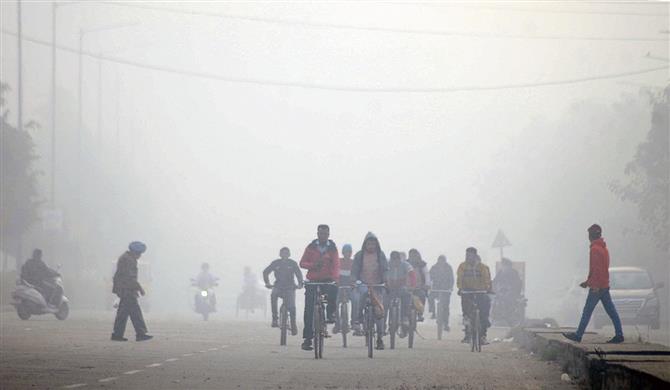 Dense fog reduces visibility in Ludhiana, commuters inconvenienced