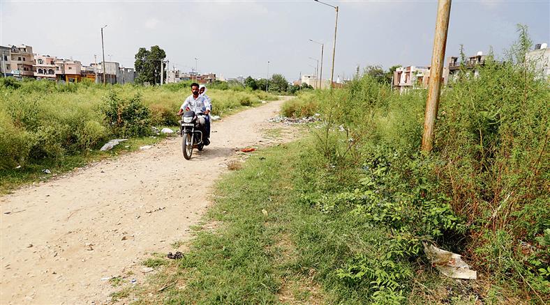 Housing schemes: Another setback for Jalandhar Improvement Trust