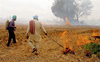 Punjab registers 27% fewer straw burning cases this season