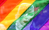 Russian Supreme Court  bans LGBT movement
