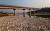 Illegal mining turns Ropar bridge wobbly, may collapse